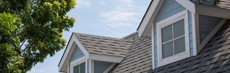 Home roof banner 768x244