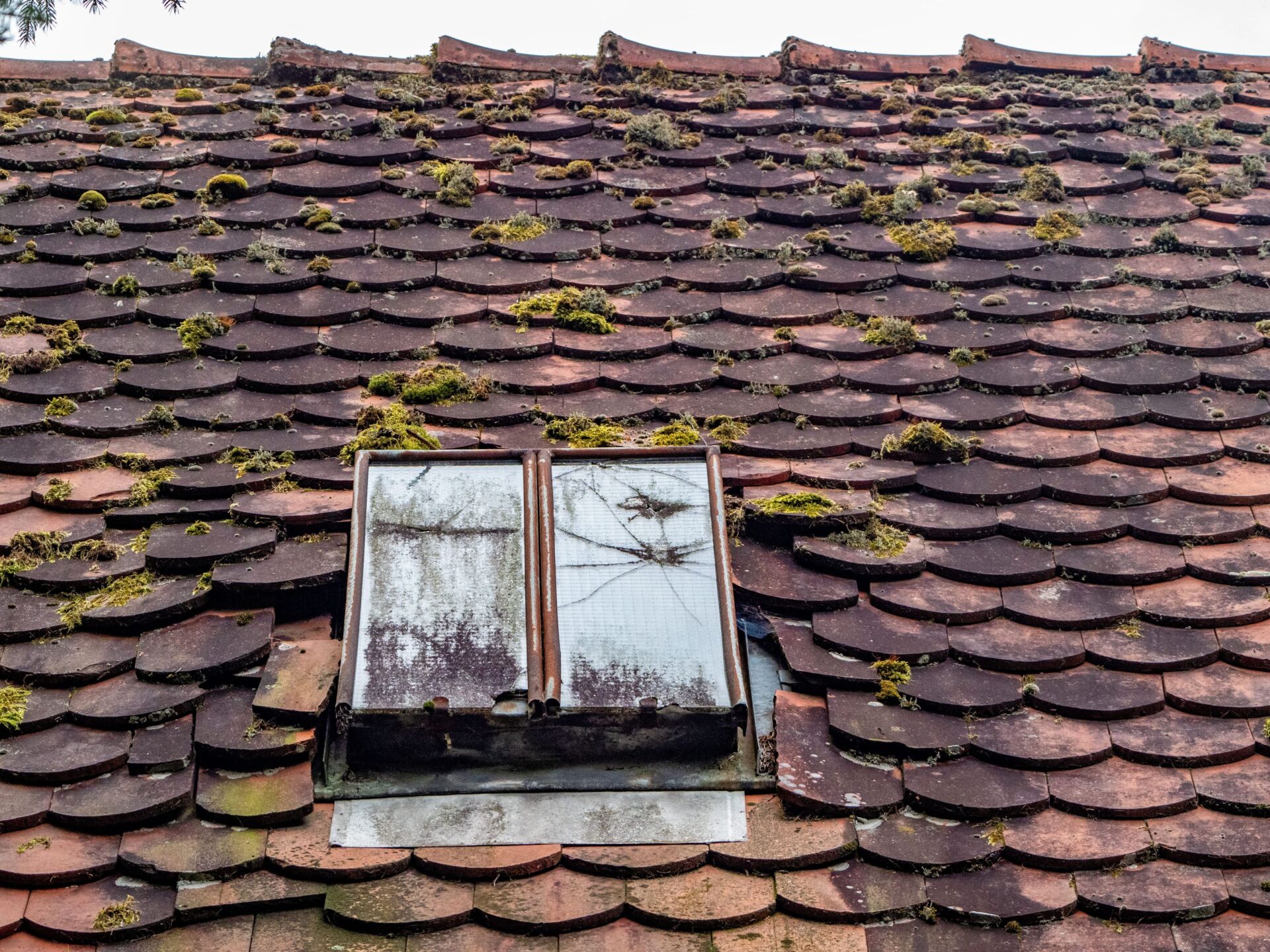 Skylight Leak Repair
