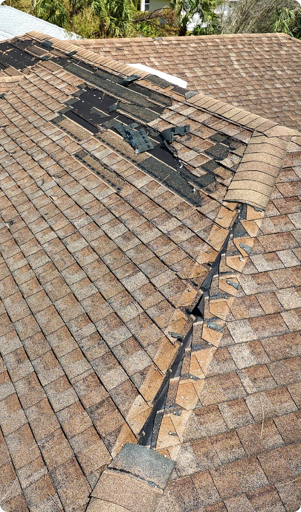 Damaged shingles roof repair in Calgary